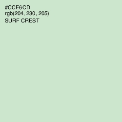 #CCE6CD - Surf Crest Color Image